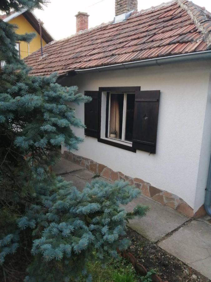 Apartman Nebojsa Rudnik Eksteriør billede