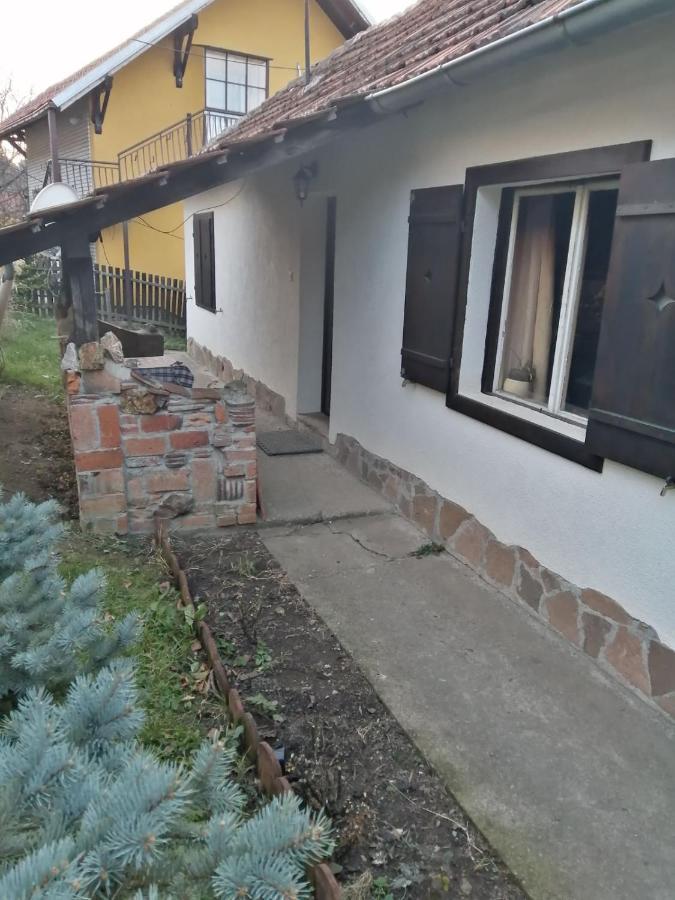 Apartman Nebojsa Rudnik Eksteriør billede