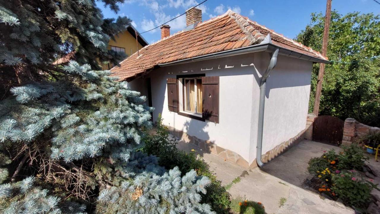 Apartman Nebojsa Rudnik Eksteriør billede
