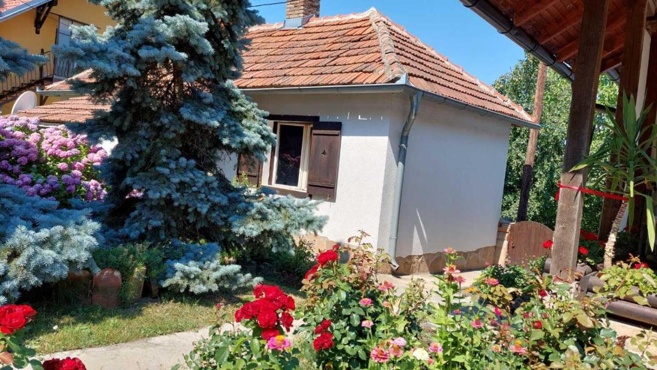 Apartman Nebojsa Rudnik Eksteriør billede