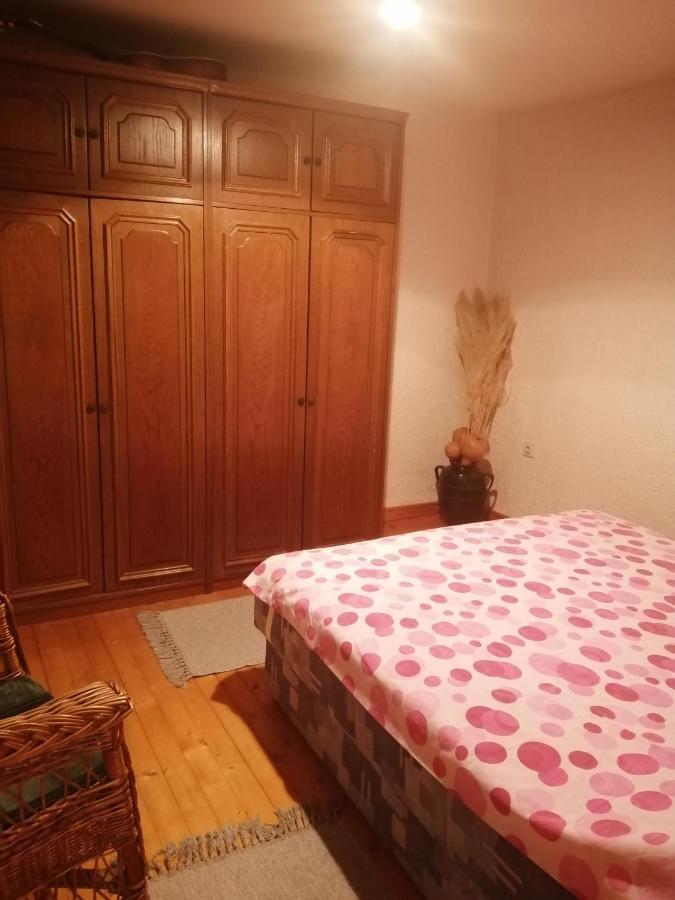 Apartman Nebojsa Rudnik Eksteriør billede